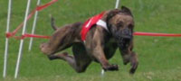 Karma racing in the red #1 jacket. Photo courtesy of Jane Z