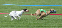 Stony in the lead. Photo courtesy of Rick Steele.